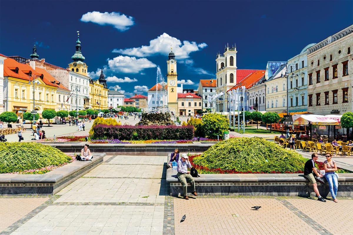 Apartman Central, Self Check In 24 H, Free Parking Banska Bystrica Ngoại thất bức ảnh