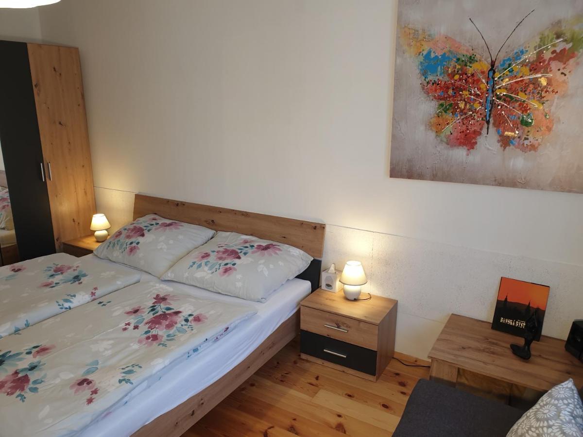 Apartman Central, Self Check In 24 H, Free Parking Banska Bystrica Ngoại thất bức ảnh